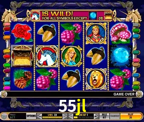 VIP Casino 55jl